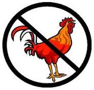no cocks