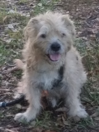 Danny Smiles lll (1)