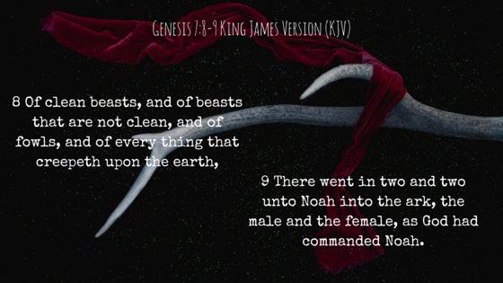 Genesis 7-8-9King James Version (KJV).png
